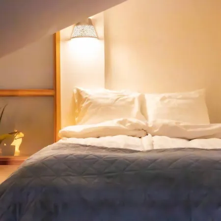 Penthouse Loft With Jacuzzi And Sauna