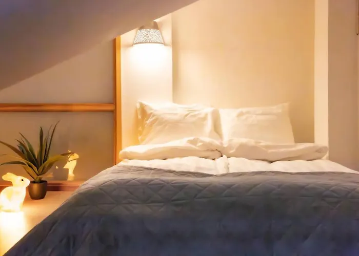 Penthouse Loft With Jacuzzi And Sauna